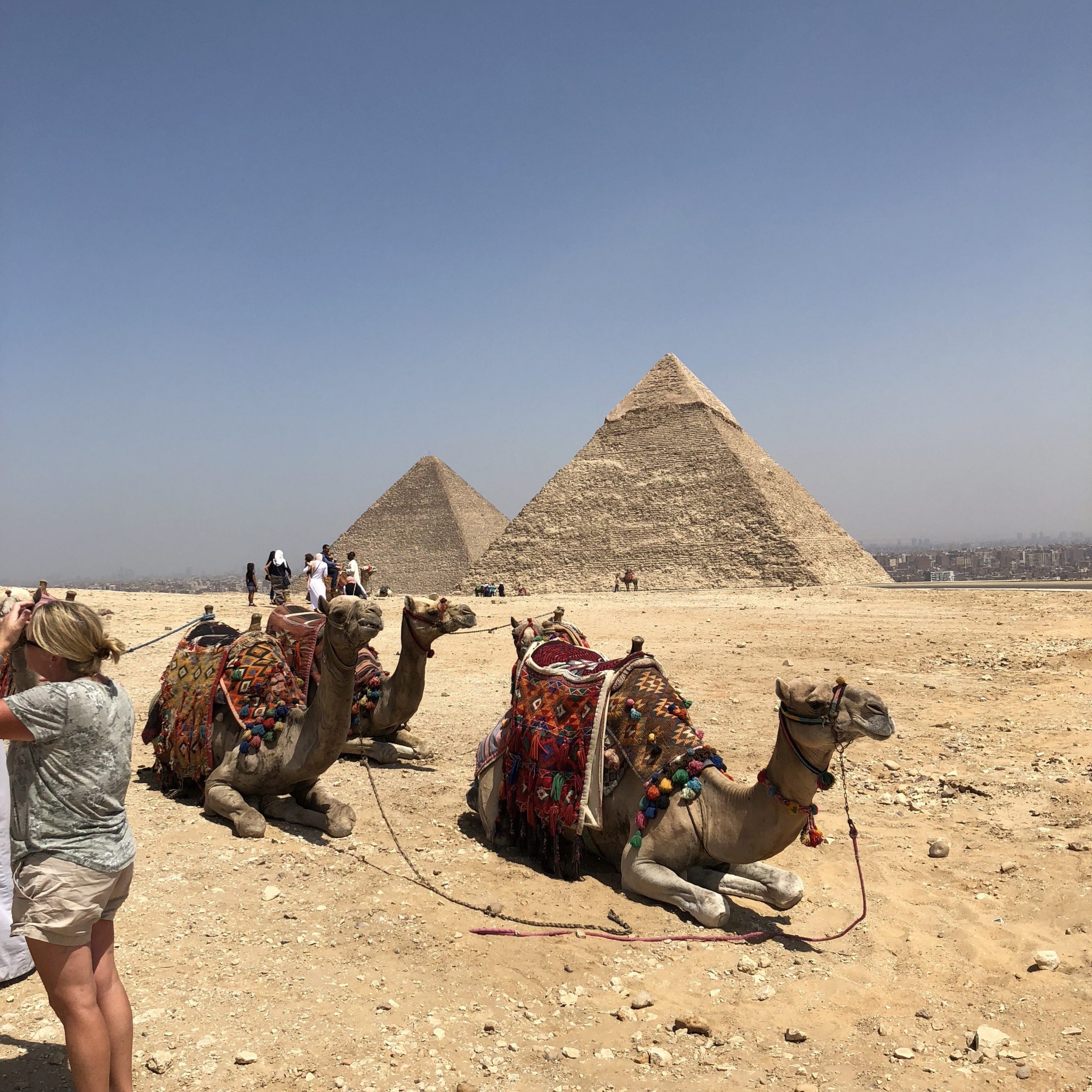 things-to-know-before-traveling-to-egypt-mainely-katie