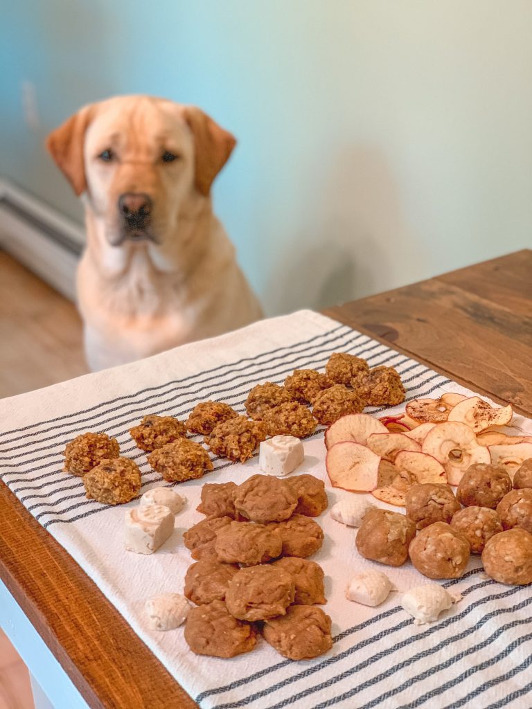 Homemade Natural Dog Treats Recipes - Mainely Katie