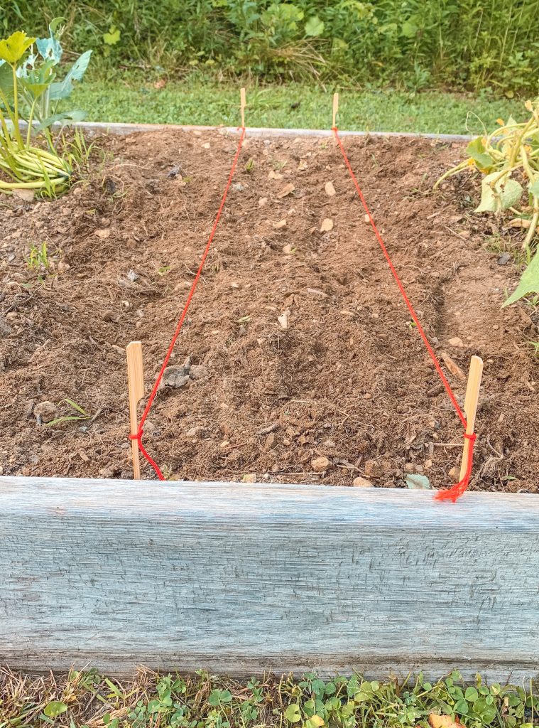 making rows gardening tips