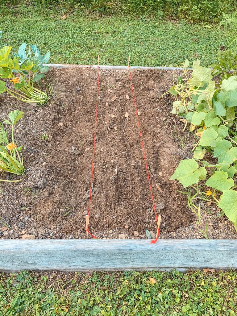 planting straight rows gardening tips