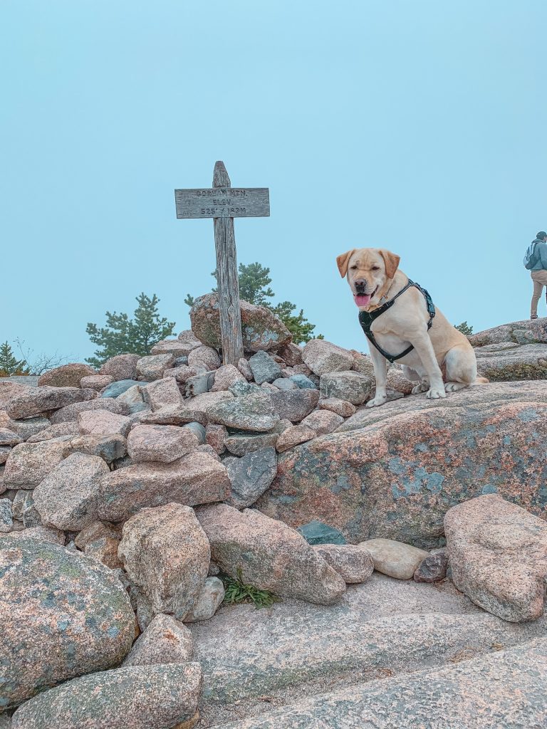 Gorham Mountain Summit