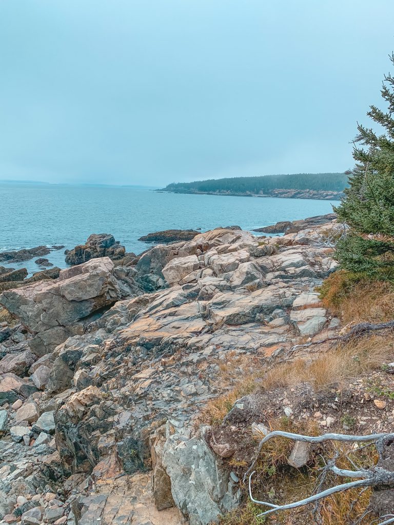 Otter Point Acadia