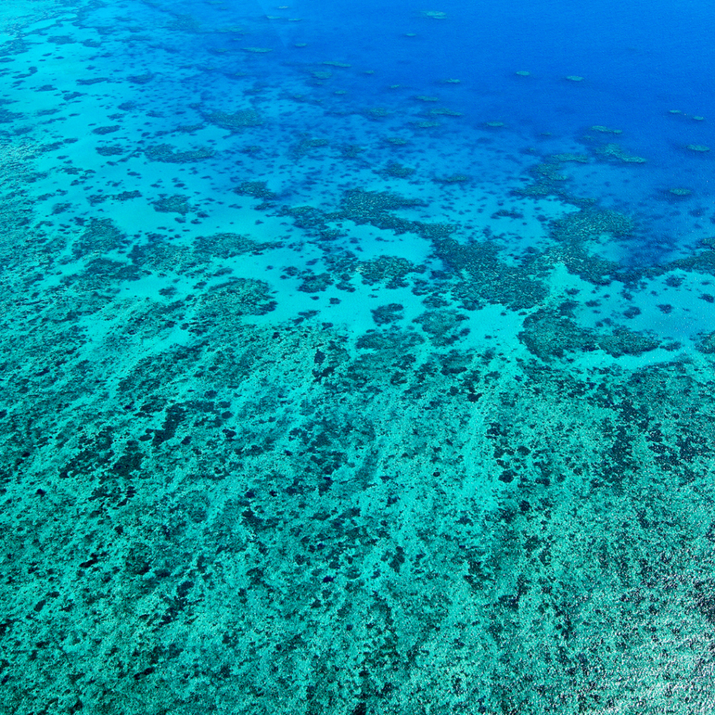 Great Barrier Reef