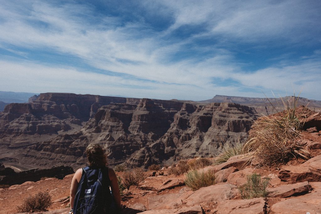 looking at the grand canyon