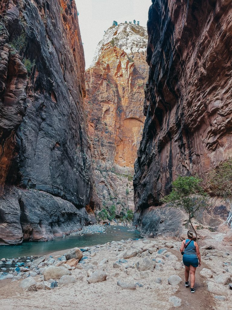 the narrows zion national park