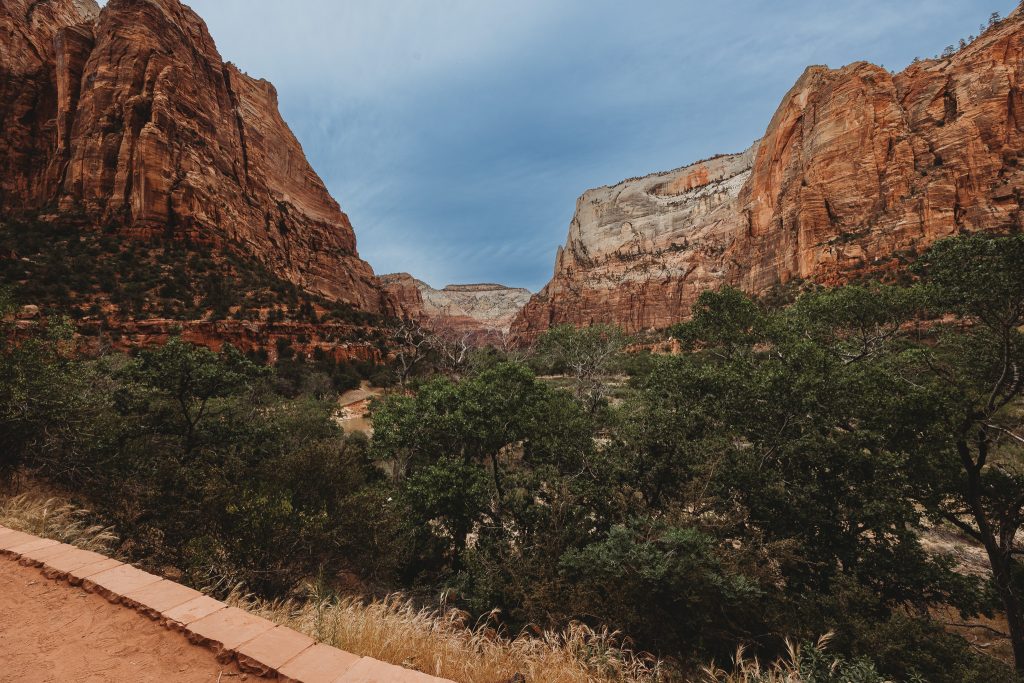 canyon in zion